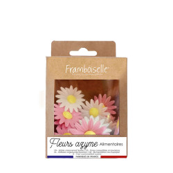 Déco Azyme marguerites - Framboiselle