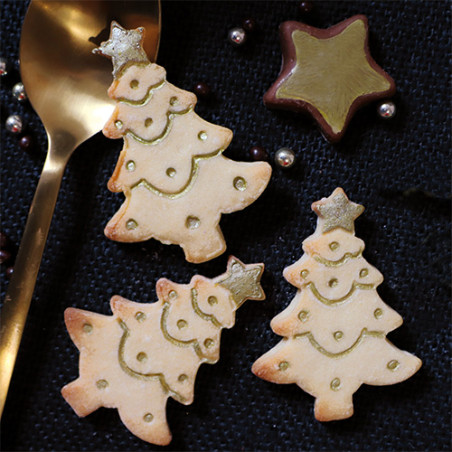 Biscuits imprimés Noël